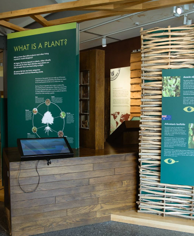 An indoor exhibit on plants, featuring green informational panels and a wooden counter. One panel asks "What is a plant?" next to a touchscreen display. A woven wooden structure decorates the right side of the exhibit with various plants and information.