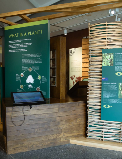 An indoor exhibit on plants, featuring green informational panels and a wooden counter. One panel asks "What is a plant?" next to a touchscreen display. A woven wooden structure decorates the right side of the exhibit with various plants and information.