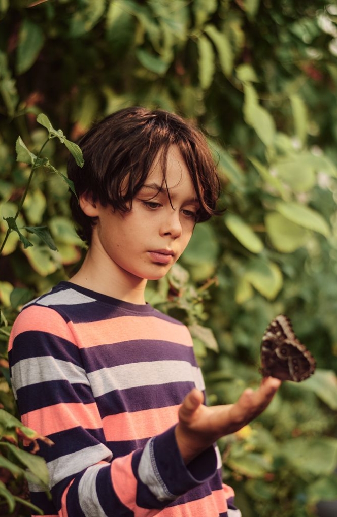 A young boy with brown hair, wearing a striped shirt, is standing outdoors in front of lush greenery. He is gently holding his hand out, and a butterfly is perched delicately on his fingers. The boy looks at the butterfly with an expression of curiosity and wonder.