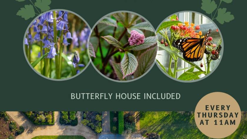 Promotional poster for Talbot Botanical Guided Garden Tours at Malahide Castle & Gardens. Includes photos of flowers, a butterfly, an aerial view of the garden, and a greenhouse. Text reads: "Guided Garden Tours with our Head Gardener. Butterfly House Included. Every Thursday at 11 AM.