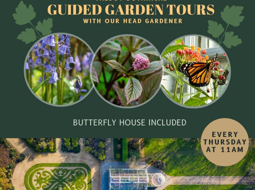 Promotional poster for Talbot Botanical Guided Garden Tours at Malahide Castle & Gardens. Includes photos of flowers, a butterfly, an aerial view of the garden, and a greenhouse. Text reads: "Guided Garden Tours with our Head Gardener. Butterfly House Included. Every Thursday at 11 AM.