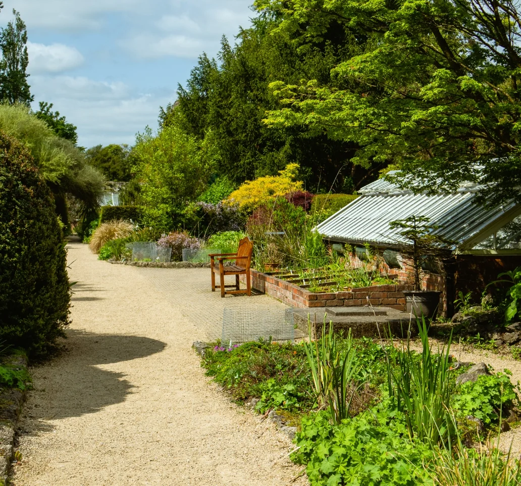 A serene garden scene with a gravel path curving through lush green foliage. A wooden bench sits beside raised plant beds under a glass canopy. Trees and shrubs surround the area, creating a peaceful atmosphere under a partly cloudy sky.