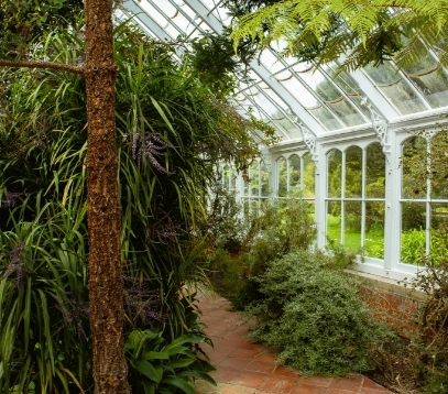 A lush greenhouse interior reminiscent of Malahide Castle, with tall, leafy plants and ferns under a glass ceiling. Natural light filters through the windows, illuminating the greenery and brick-tiled path that winds through this vibrant scene.