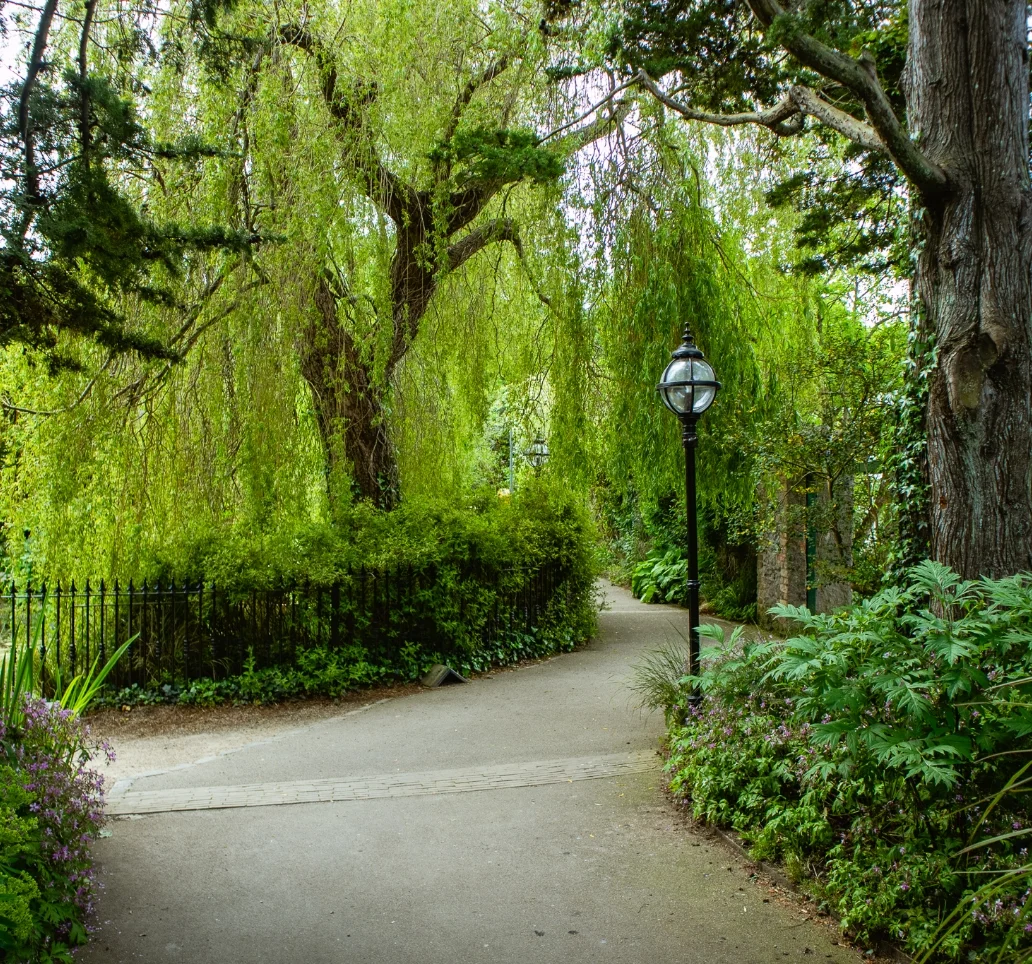 A serene park pathway surrounded by lush greenery and tall trees. A vintage-style lamp post stands beside the path, while vibrant plants and bushes line the walkway, creating a peaceful, natural landscape.